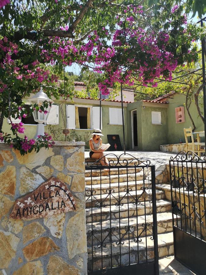 Villa Amygdalia Dilináta エクステリア 写真